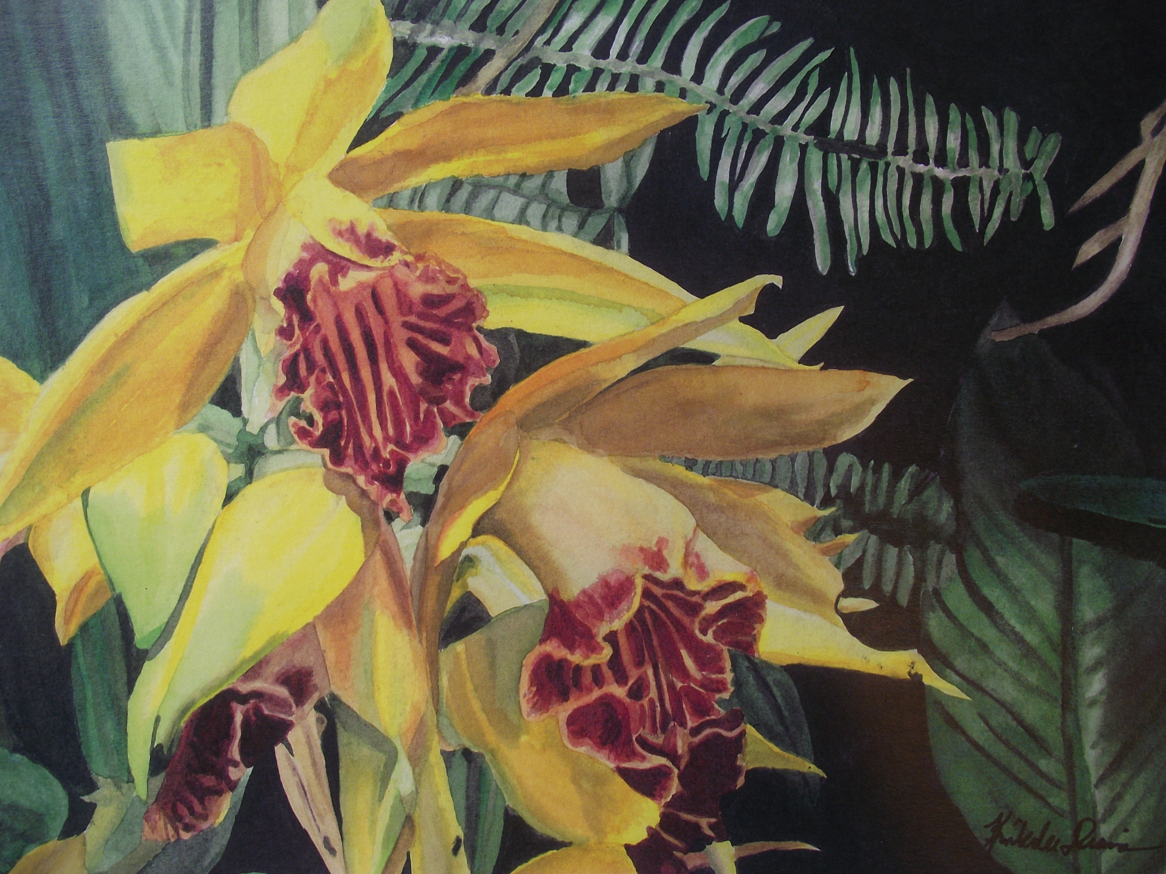 Golden Orchids