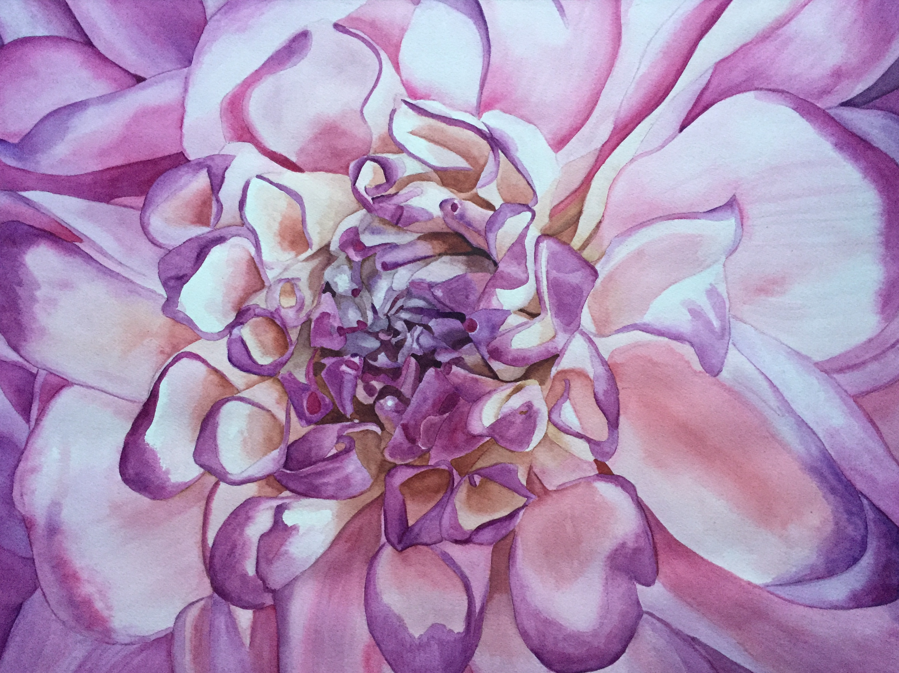 Dahlia Rosette