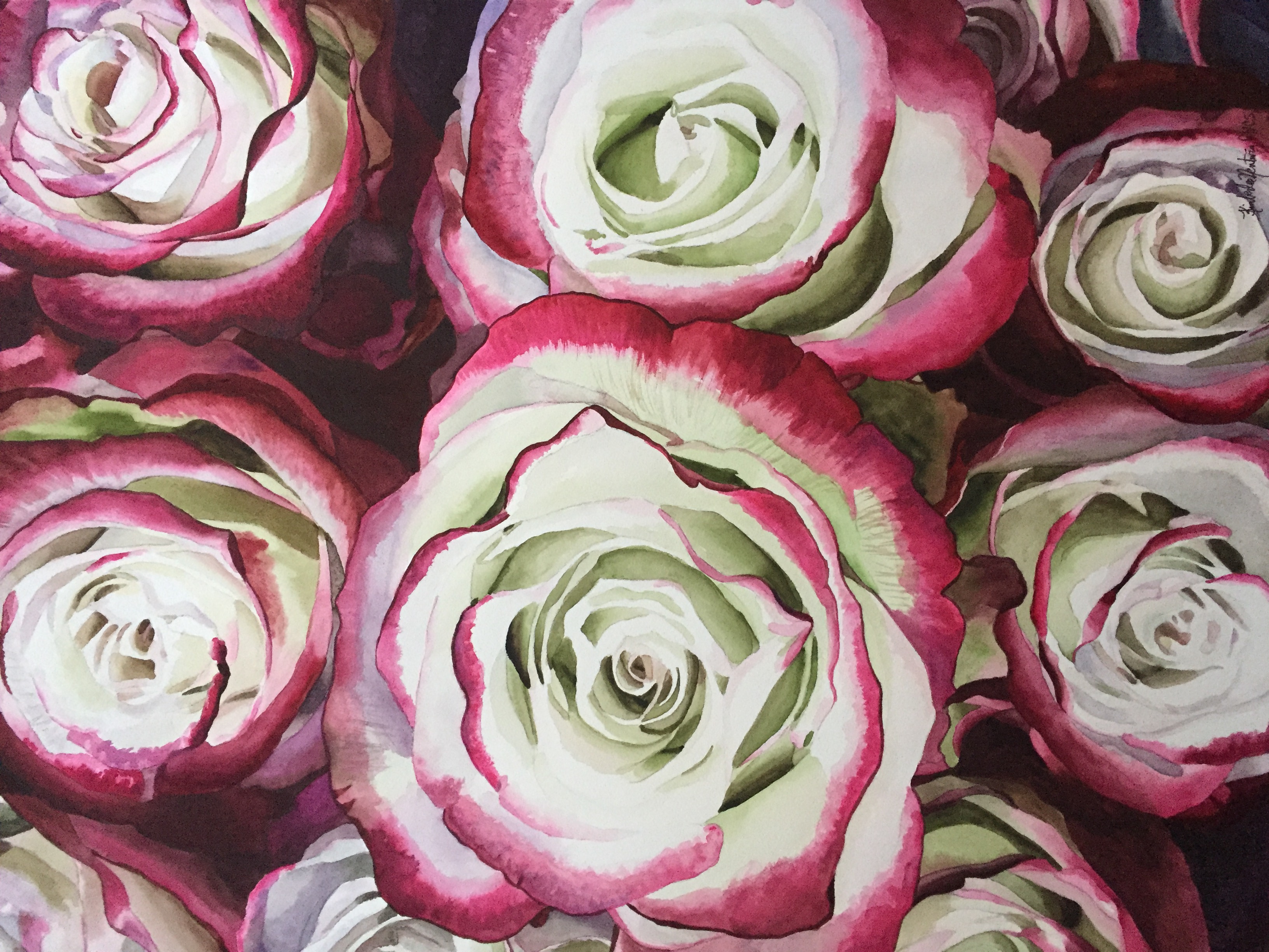 Blushing Beauties