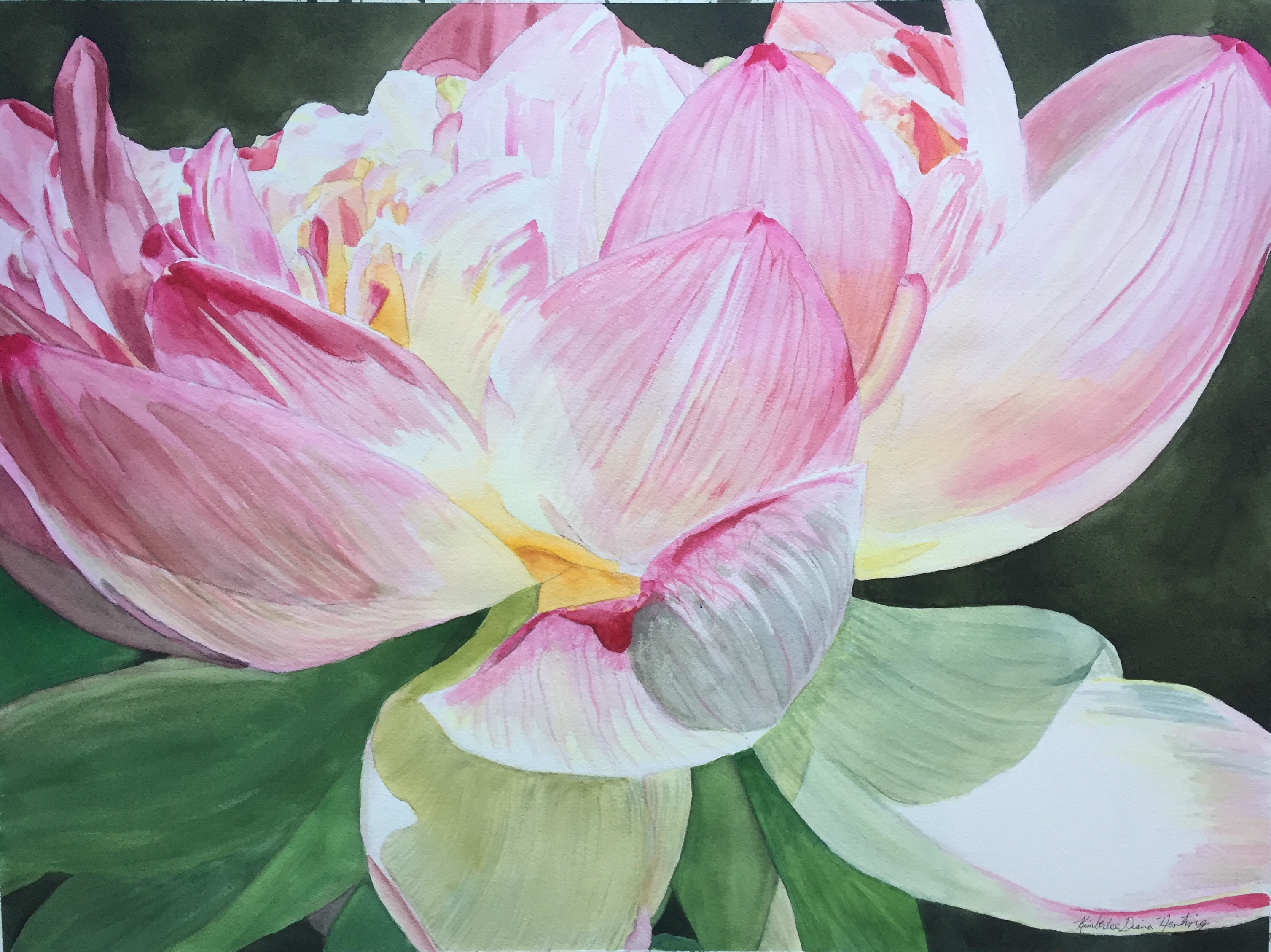 Lotus Position