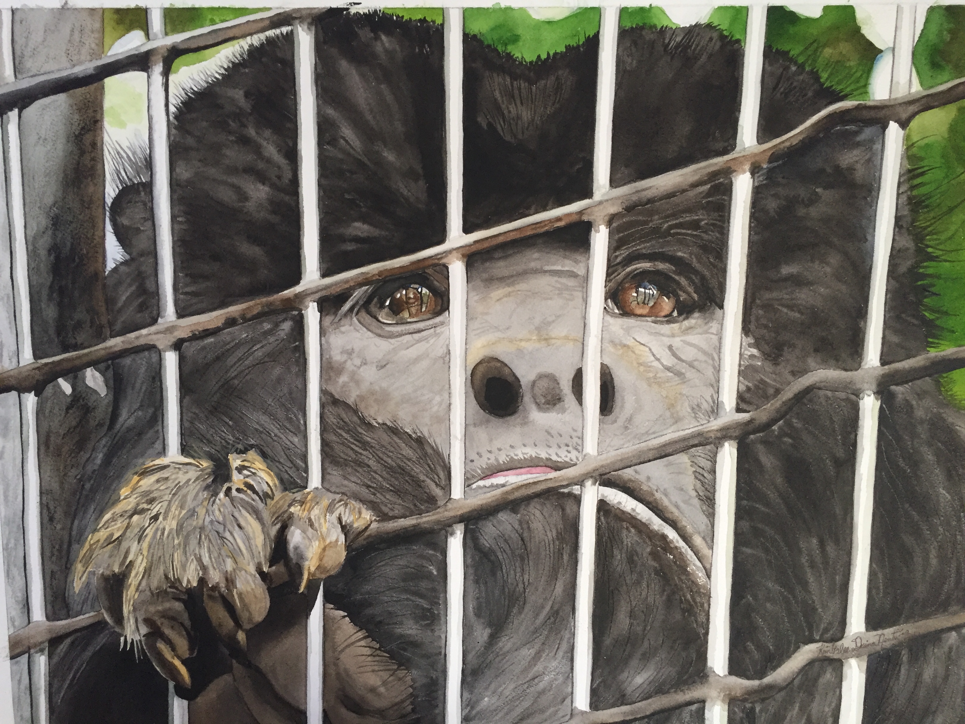 In Captivity