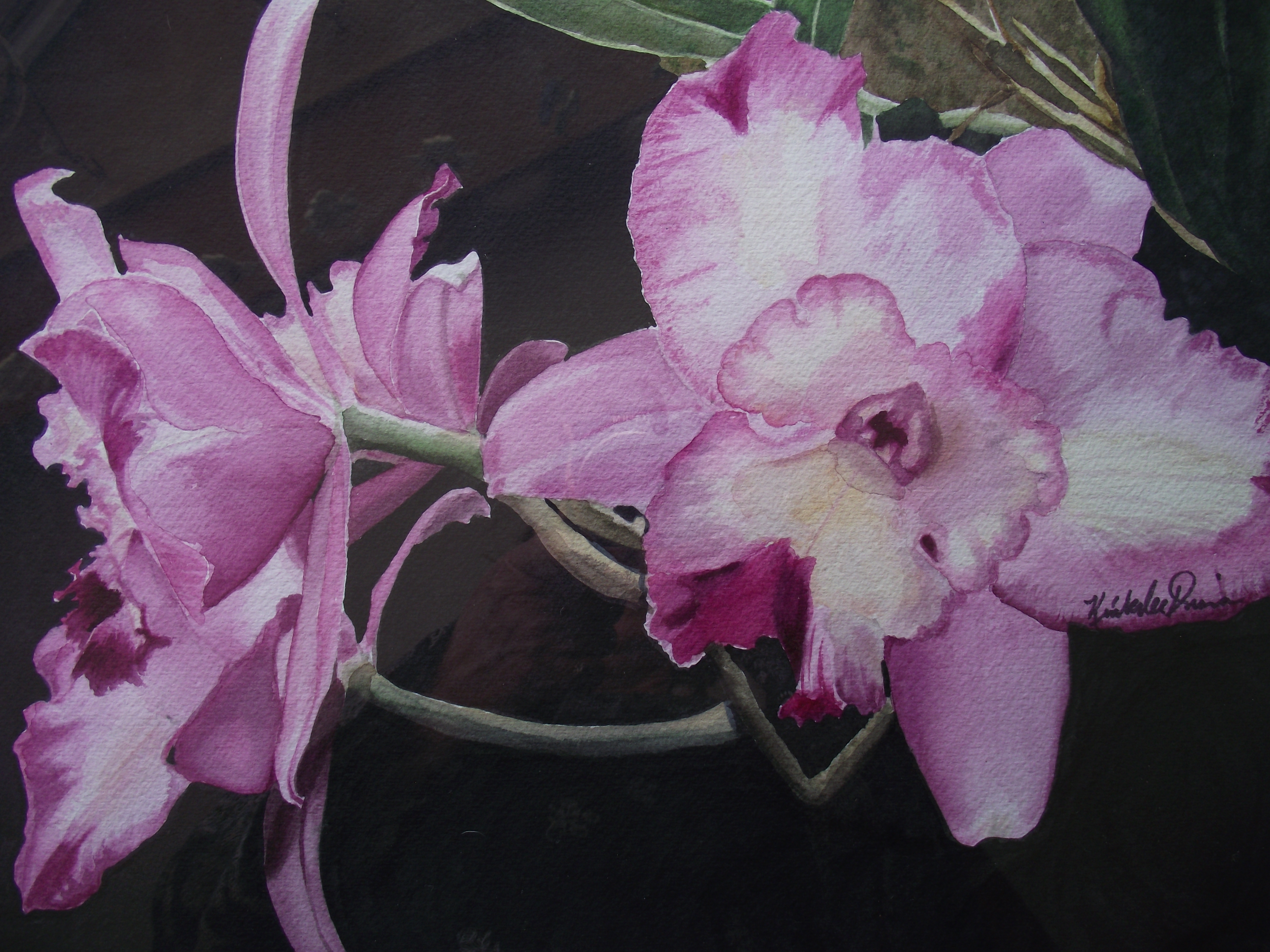 Orchid Quartet
