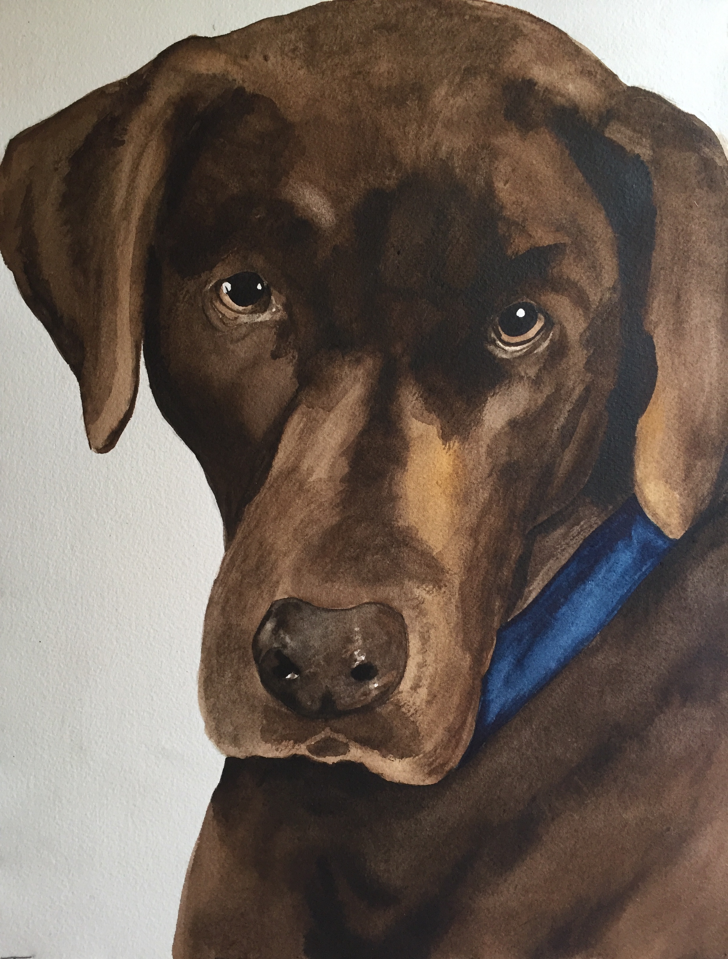 More Chocolate (Lab) Please