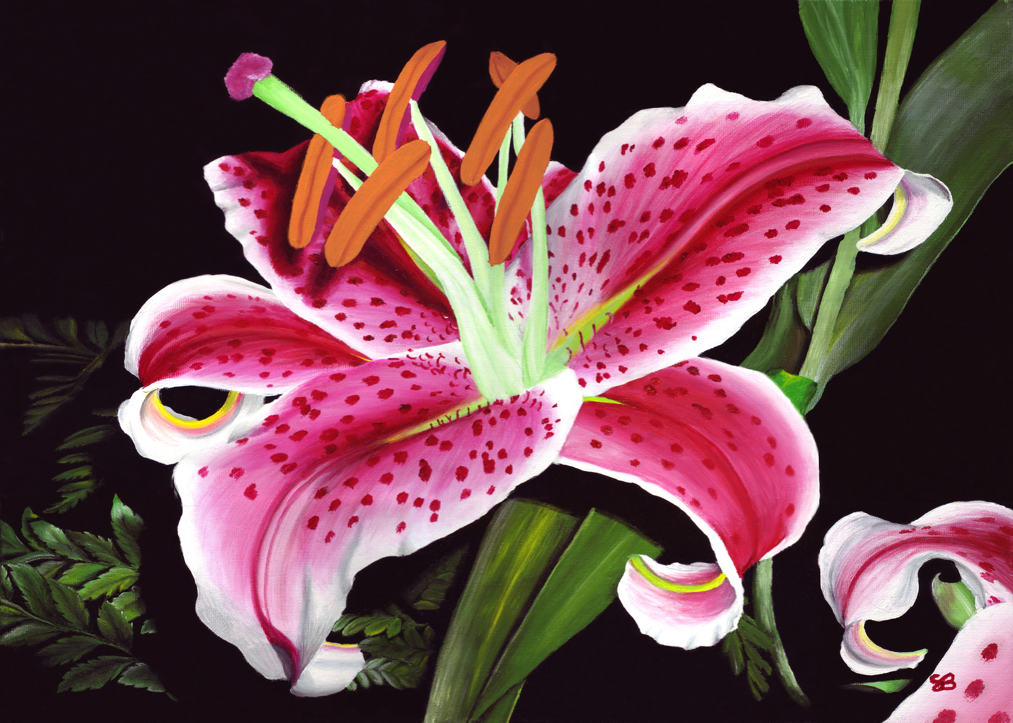 Stargazer Lily 8"x10" print