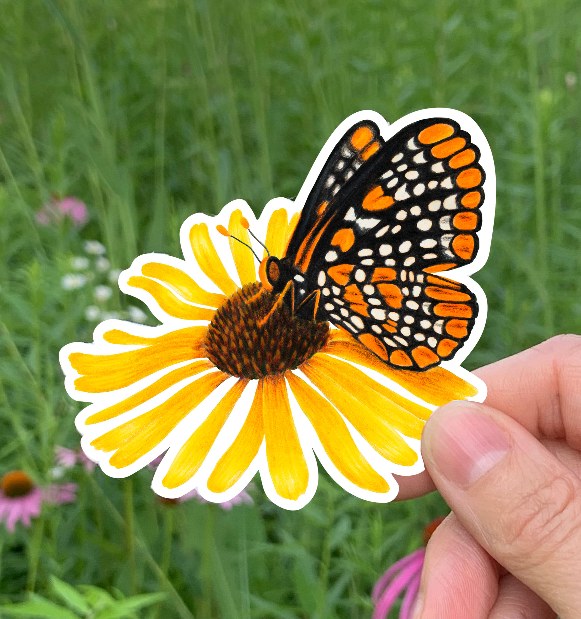 Baltimore Checkerspot 3.5" Vinyl Sticker