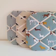 sophie allport noticeboards