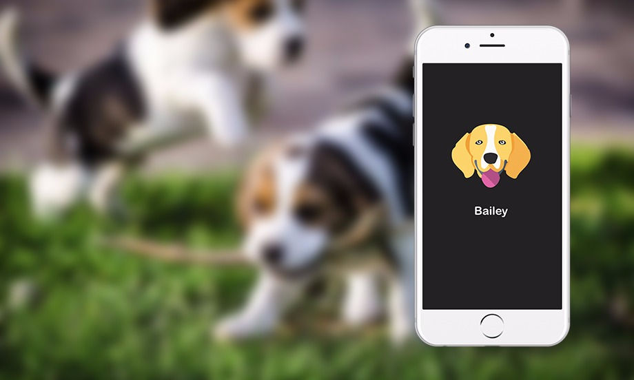 Beagle_SERP copy_edited.jpg