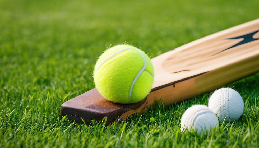 Tennis Cricket Introduction Workshop