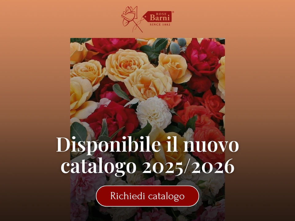 Richiesta catalogo 2025/2026 Rose Barni