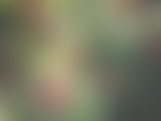 Concime naturale per rose: come nutrire i rosai in modo corretto