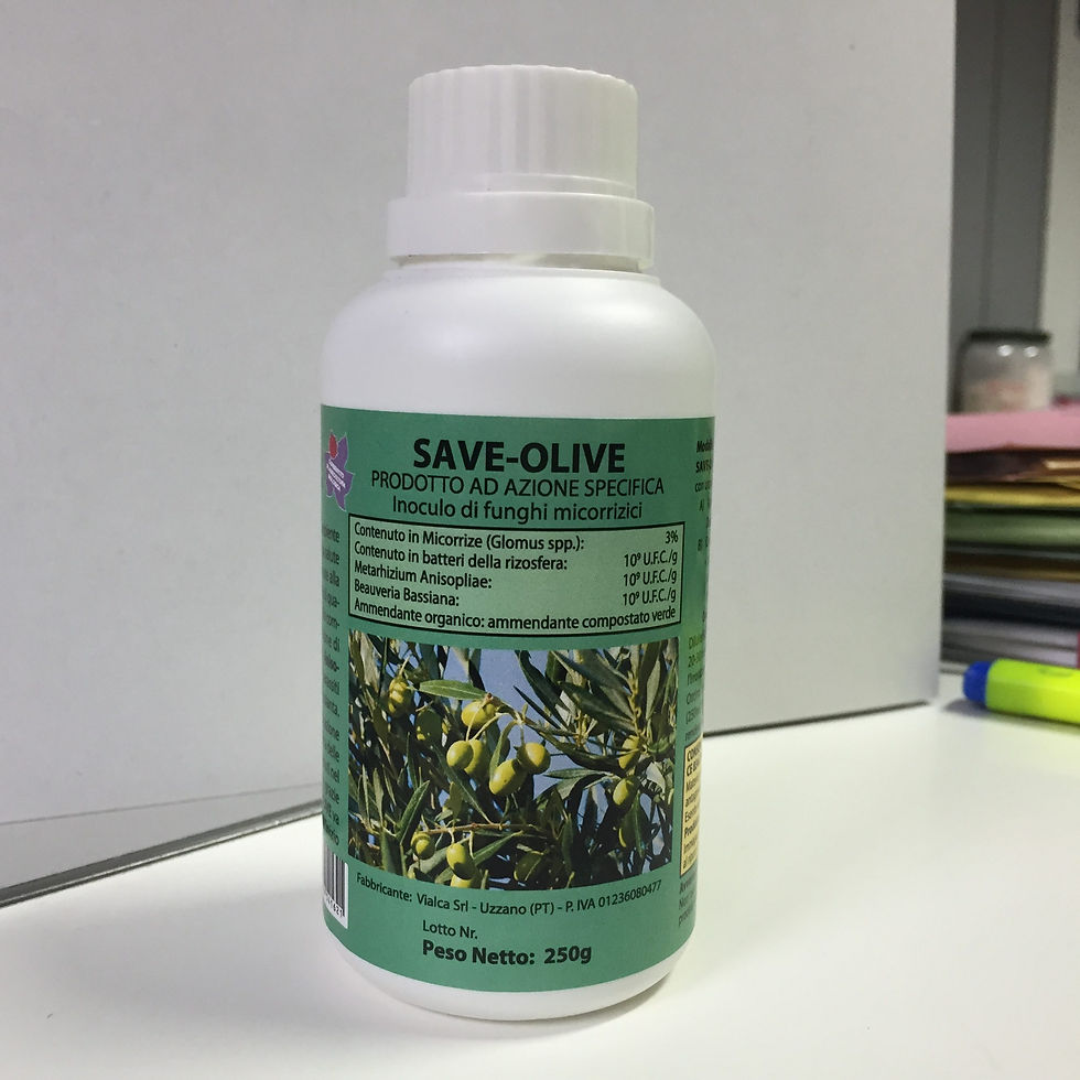 SAVE-OLIVE GR.250 INOCULO DI FUNGHI MICORRIZICI Consentito in Agricoltura Biolog
