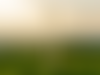 fonte rinnovabile di energia e garanzia di origine