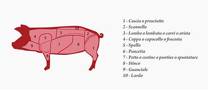 Casini Carni Punto Vendita Carne