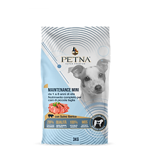 maintenance-mini (1).png