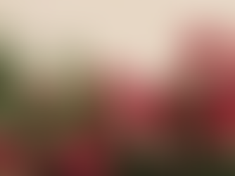 idee originali per regali giardinaggio