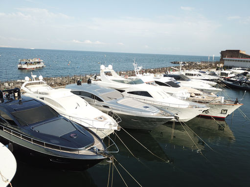 2018-06-12 17.55.44.jpeg