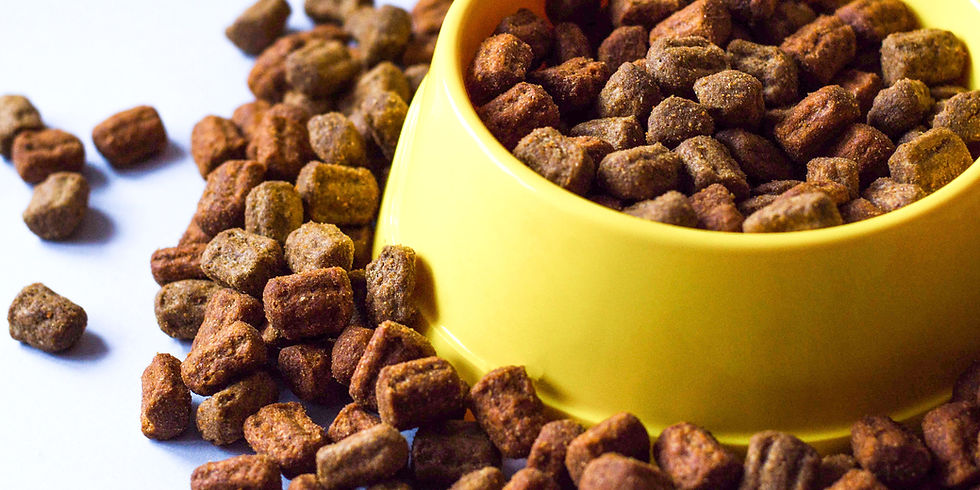 crocchette superfood per cani e gatti