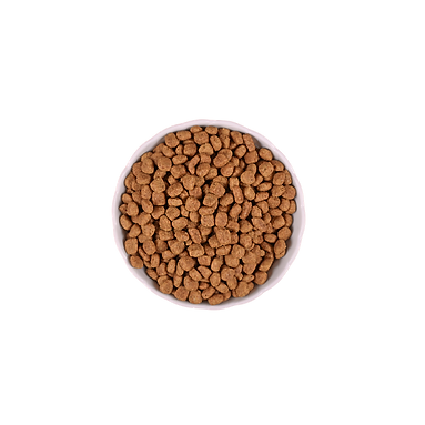 bau meo pet food