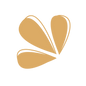 Ottimizzazione SEO (13).png