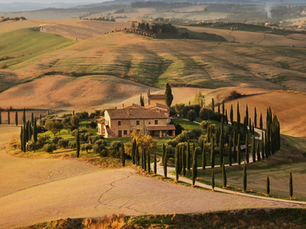 view from the helicopter of tuscany wine tours fly brunello by fly tesla