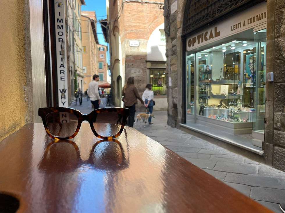 ottica lucca optical