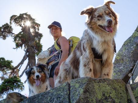 vacanza per cani in montagna