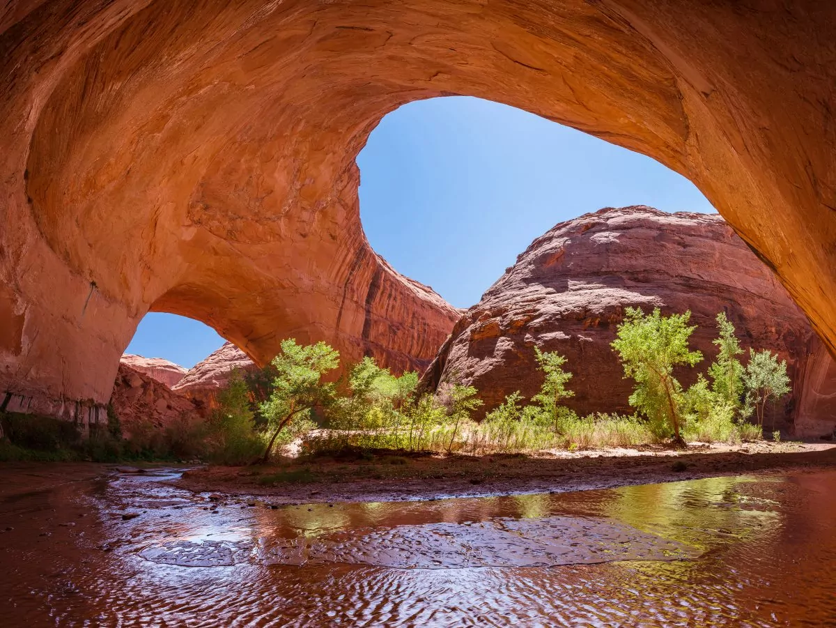 shutterstock_coyote-gulch-sm-1-1200x901.webp
