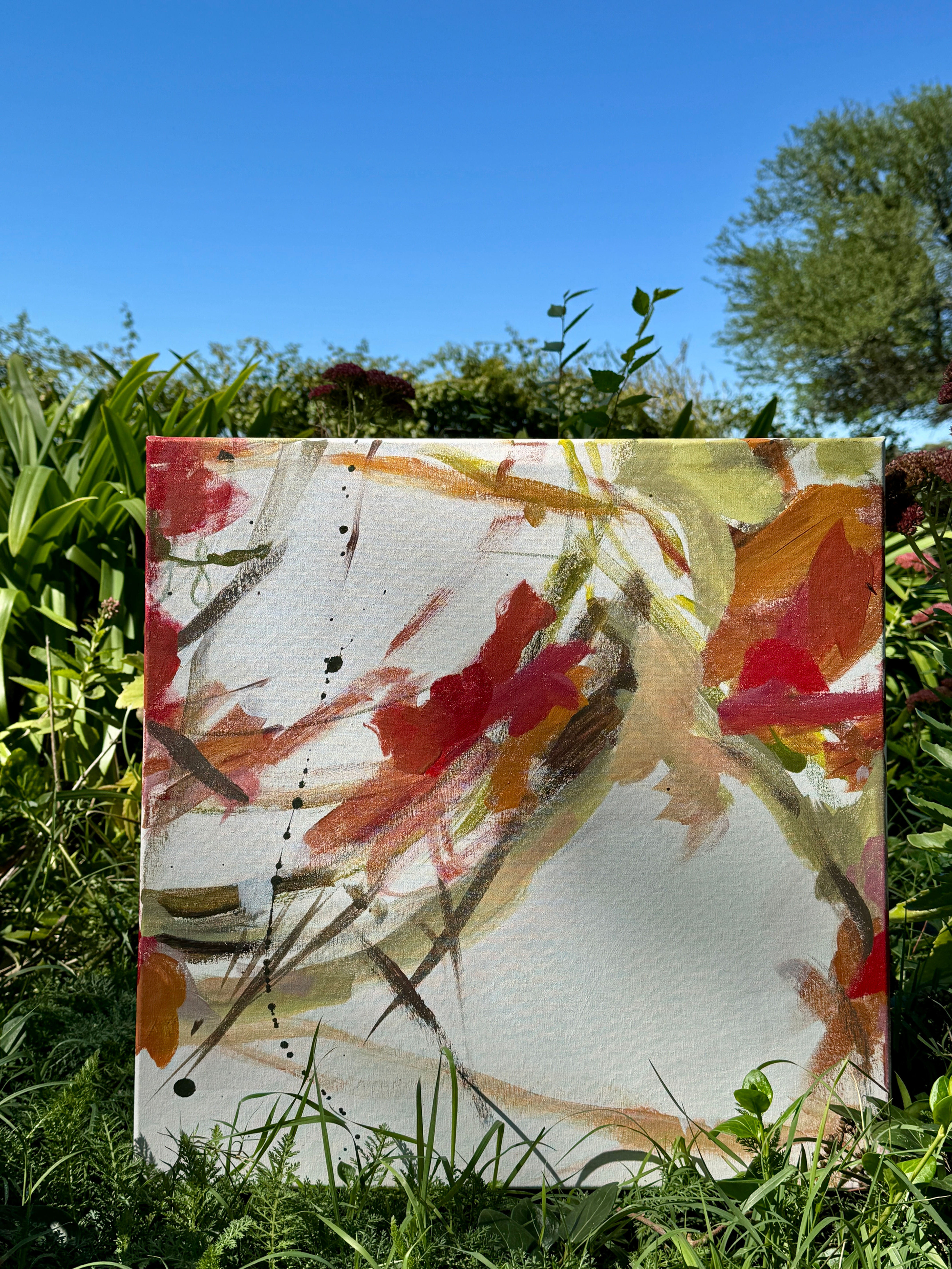 Albertine 1 (0.50 x 0.50)