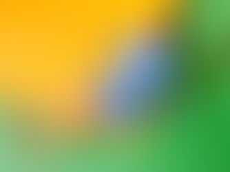 ¿Cómo combatiremos el acosos sexual si algunas son las primeras en provocar?