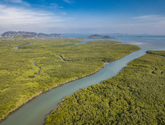 Drohnenaufnahme eines grünen Deltas mit mehreren Flussarmen, eingebettet zwischen Bergen und Meer – unberührte Natur aus der Vogelperspektive.