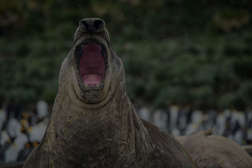 Bildschirmfoto 2025-04-24 um 16.20_edite