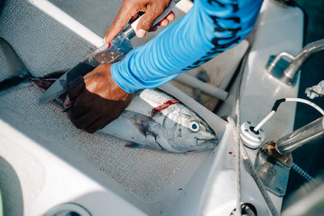 Nahaufnahme: Fischer filetiert einen frisch gefangenen Fisch an Bord eines Bootes – handwerkliches Arbeiten auf dem Meer.