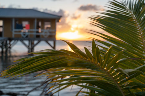 Palmenblatt im Vordergrund, Sonnenuntergang über einem Pfahlhaus am Meer – tropische Abendstimmung in Nahaufnahme.