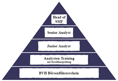 SMF Aufbau.png