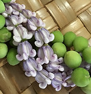 IMG_4531.JPG