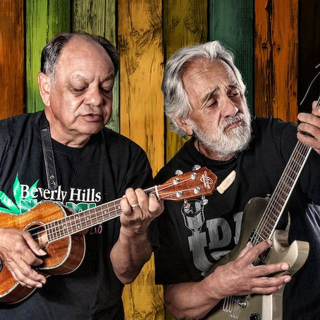 Cheech & Chong Getting into the Dispensary Business