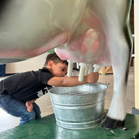 Milk our mock cow 