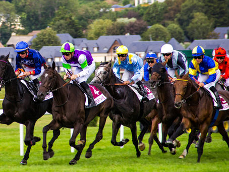 How Miami Bettors Can Enjoy the Preakness Stakes This Spring