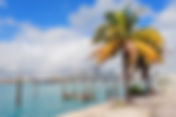 Finding Professional Success and a New Life in Florida’s Sun-Drenched Market