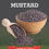 Miniaturbild: UNV Organic Mustard Seeds/Avalu/Rai