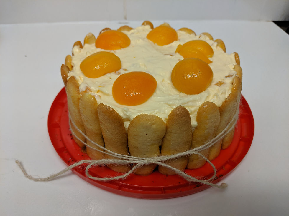 Apricot Gateau