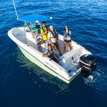 ECOSUL TURISMO Top Fish 21, Top Boats Lanchas Observação baleias, whale watching