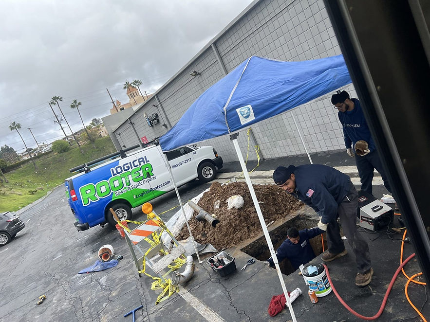 Logical-Rooter-Logo-on-Van.jpg