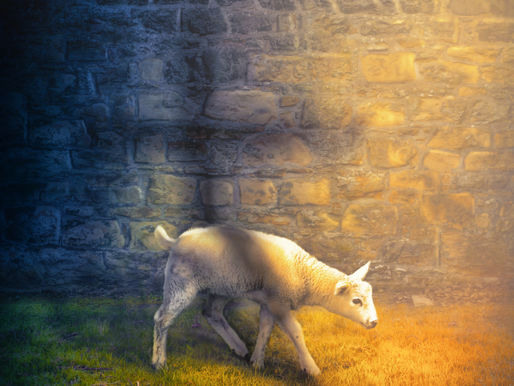 March 3 -- John 1:19-51