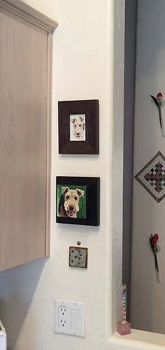 Pet Portraits of Terrier Dogs
