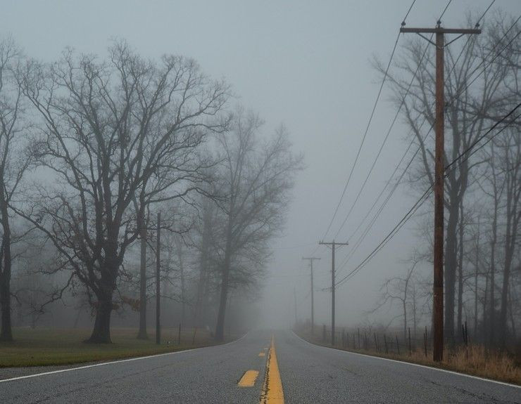 An abandoned road is pictured with trees on the side.