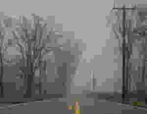 An abandoned road is pictured with trees on the side.