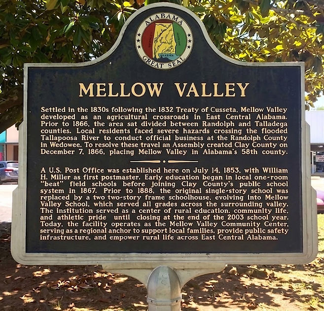 MV Marker 2.jpg