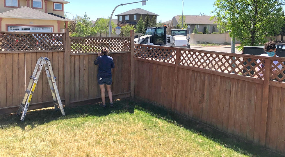 A fence being stained by Nexa in Simcoe County