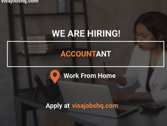 We are Hiring an Accountant, Work Remotely from Anywhere in the World, Apply Now